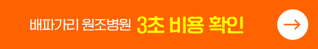 배파가리 원조병원 3초 비용 확인